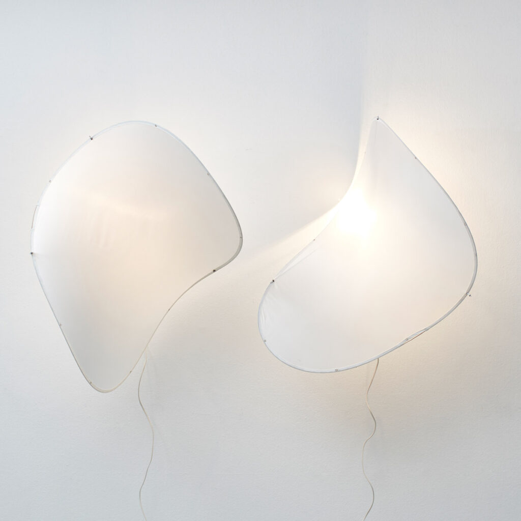 Zygote Ether organic wall lamps