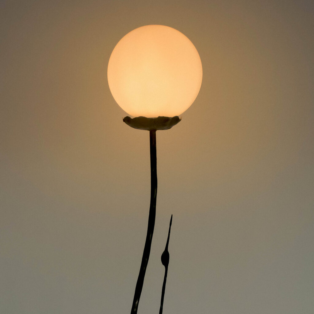 Salvino Marsura Cigno floor lamp