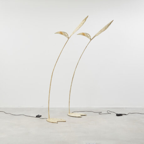 Salvino Marsura Strelitzia floor lamps