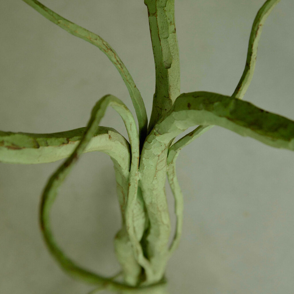 Salvino Marsura Radici side table