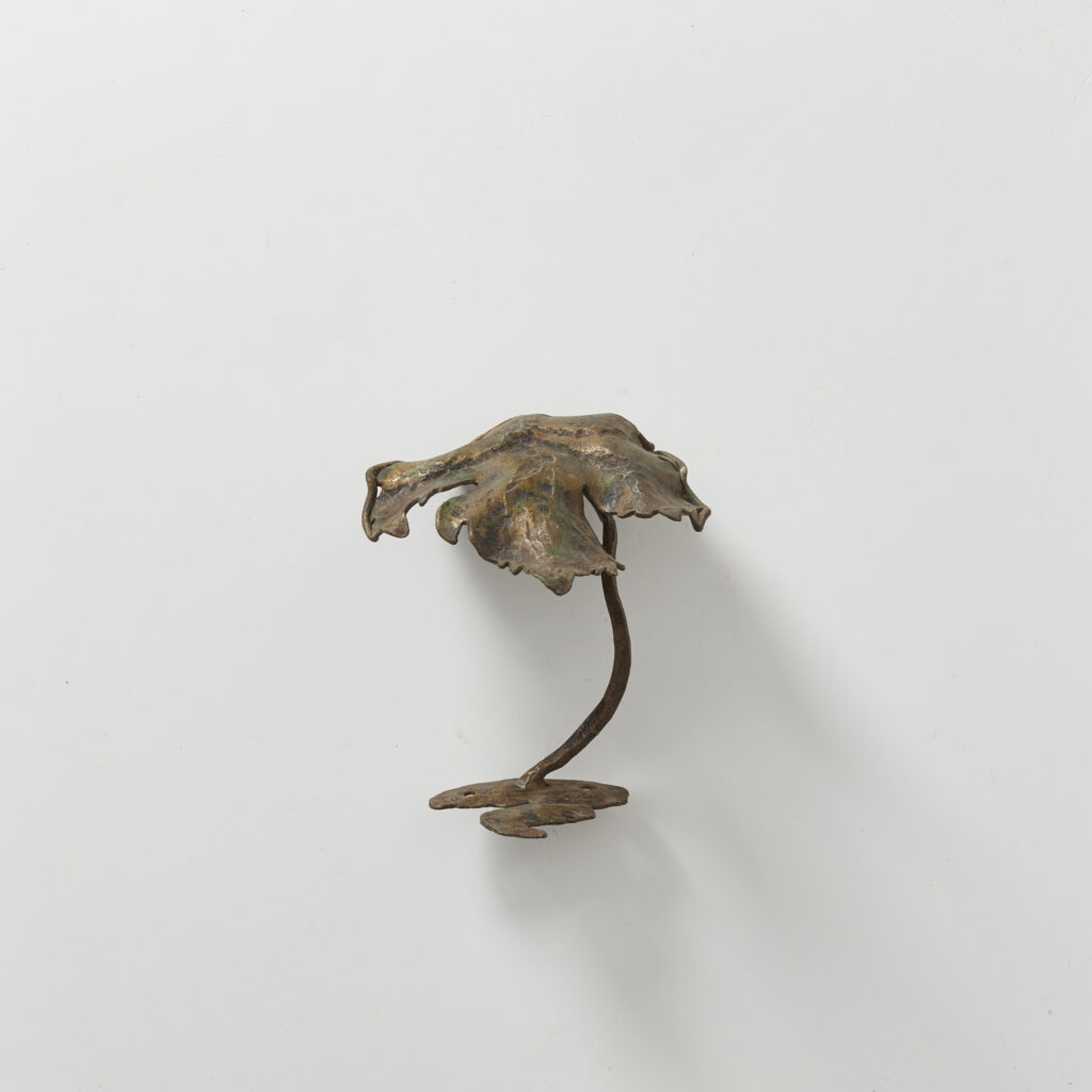 Salvino Marsura Loto hook